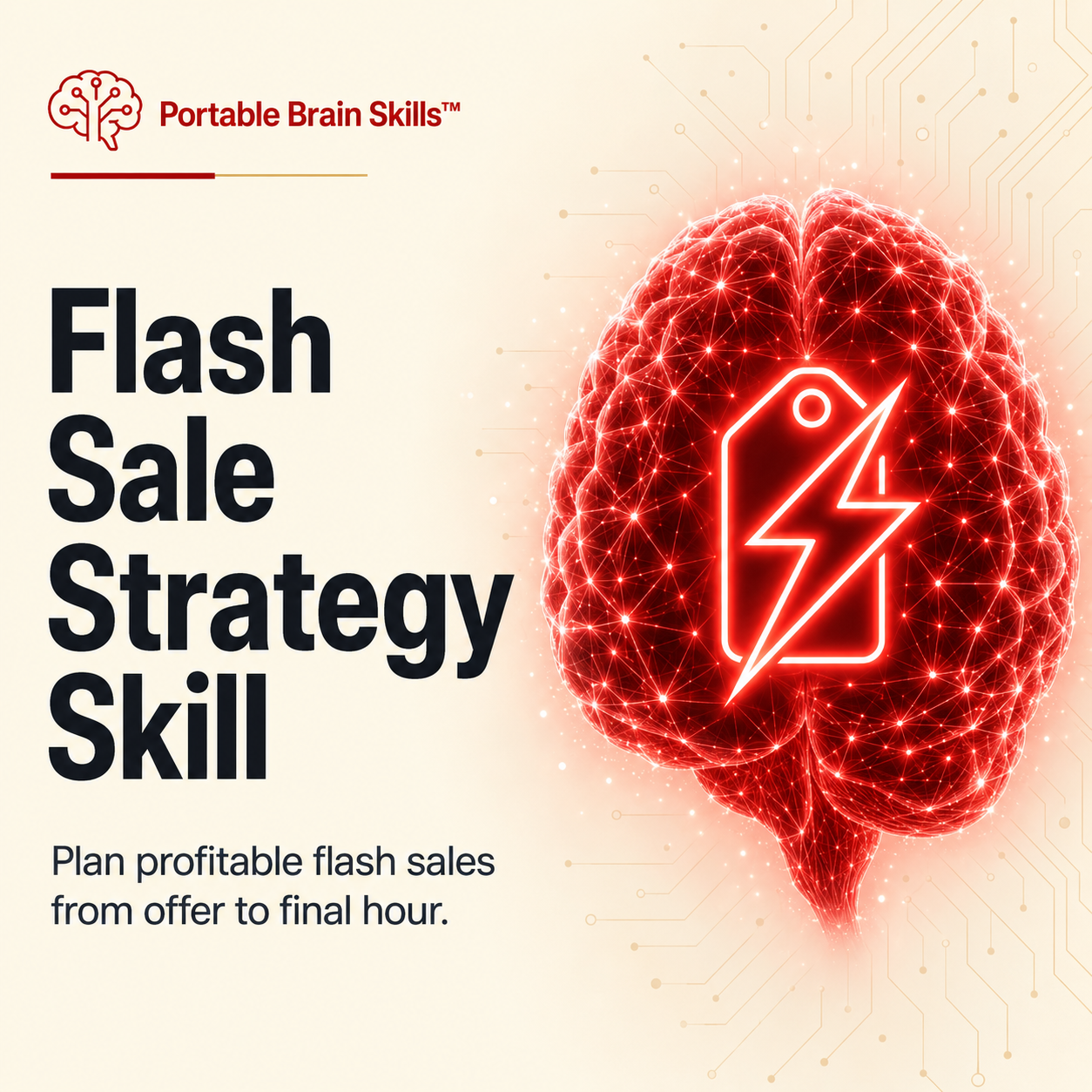 Flash Sale Strategy Skill mockup