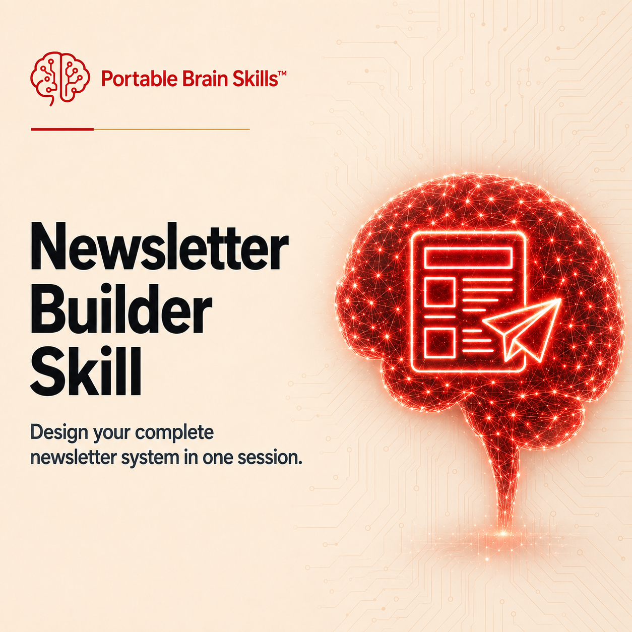Newsletter builder skill mockup