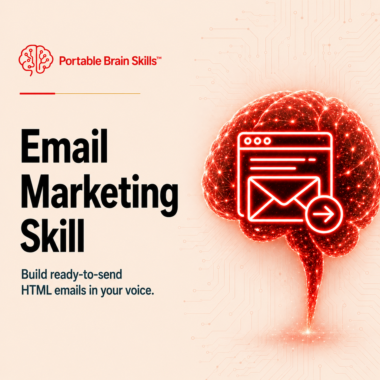 Email Marketing Skill mockup