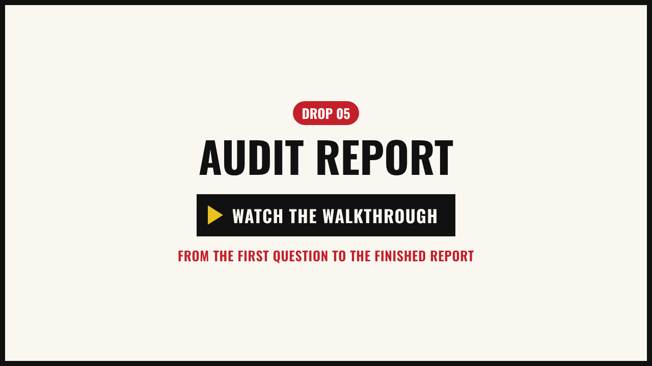 Walkthrough video: the example audit, from the first click to the personal report