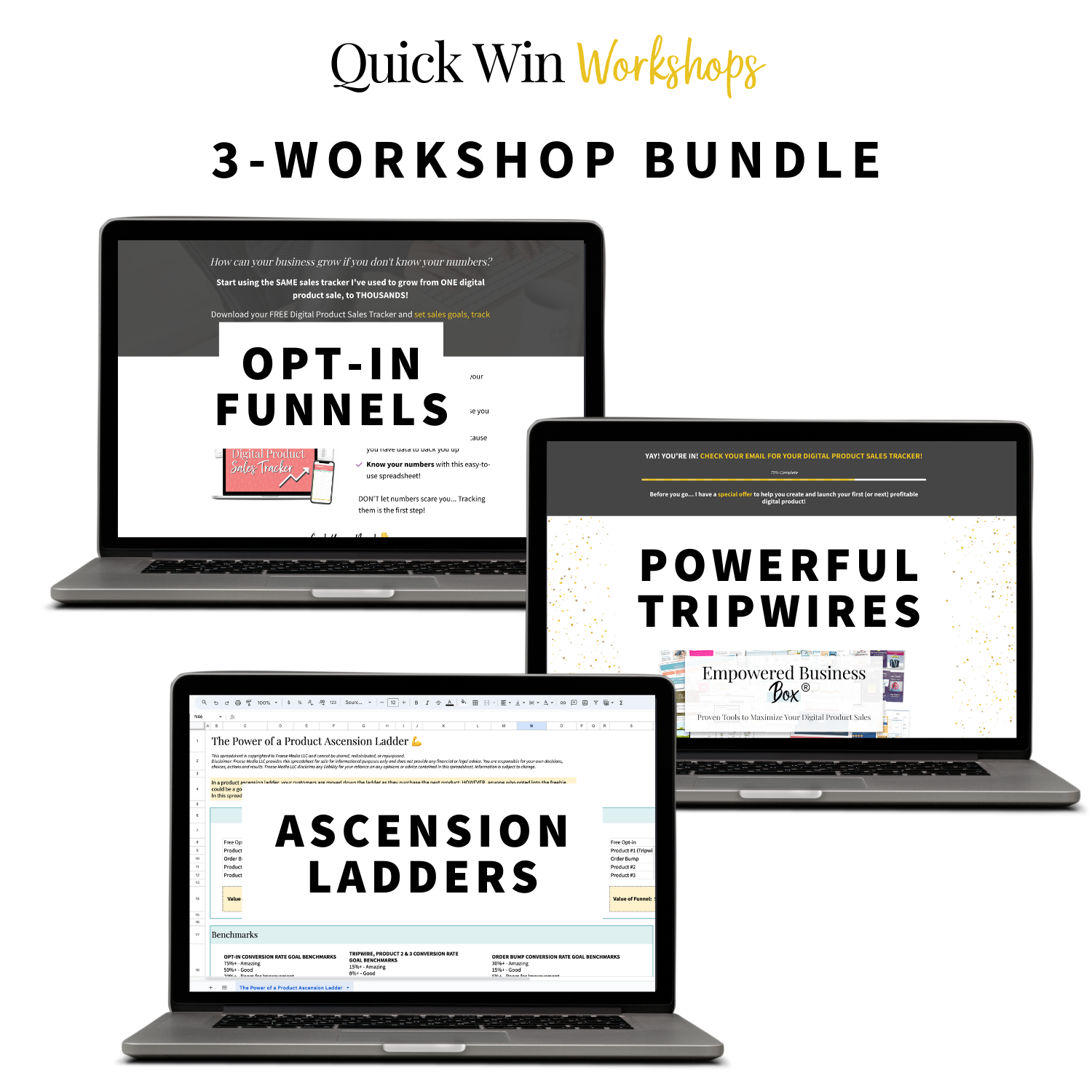 Quick Win Workshop: Perfect Your Funnel 3-Workshop Bundle - Opt-In Funnels, Powerful Tripwires, Digital Product Ascension Ladders