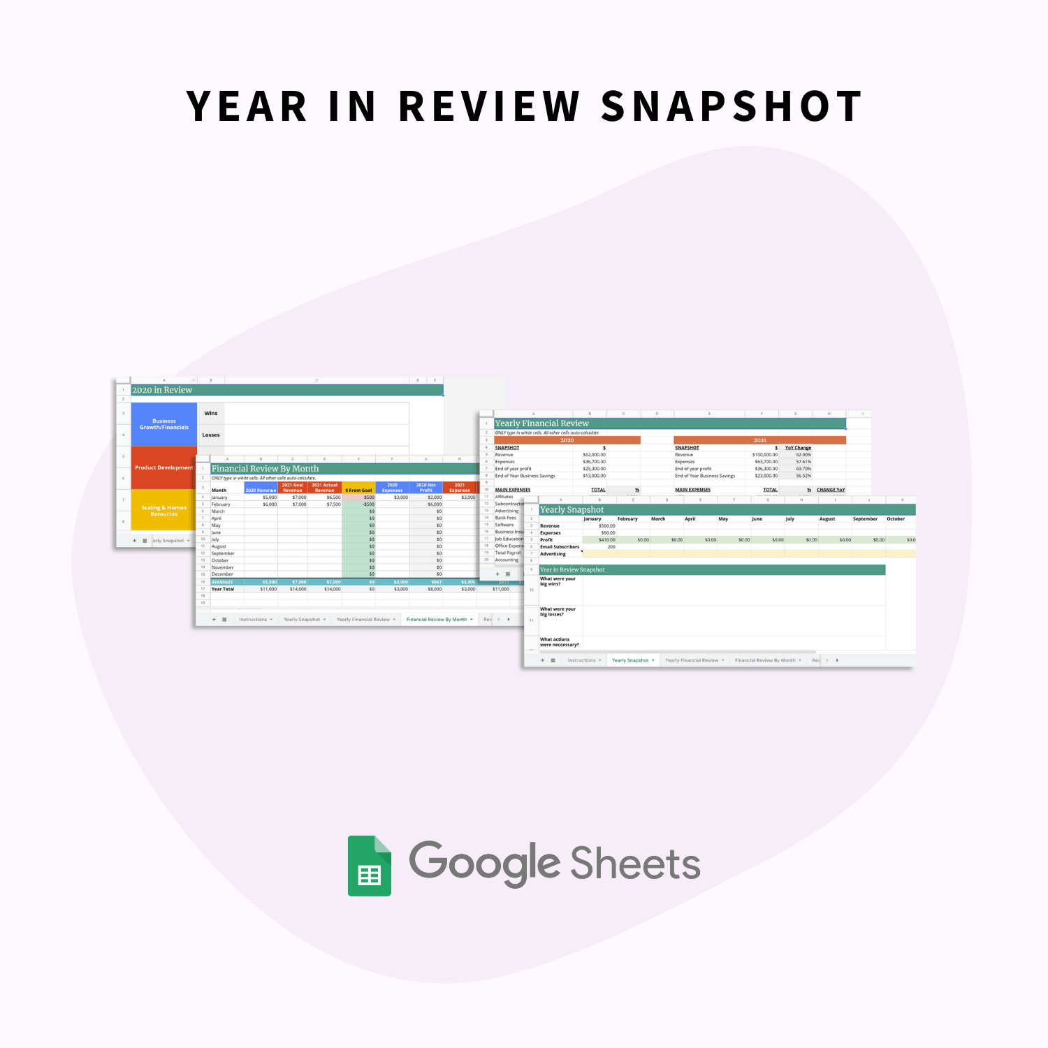 year in review snapshot in the CEO Starter Kit Toolbox