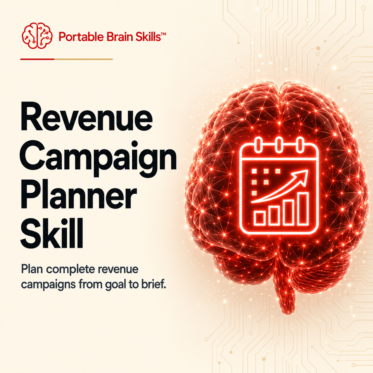 Revenue Campaign Planner Skill