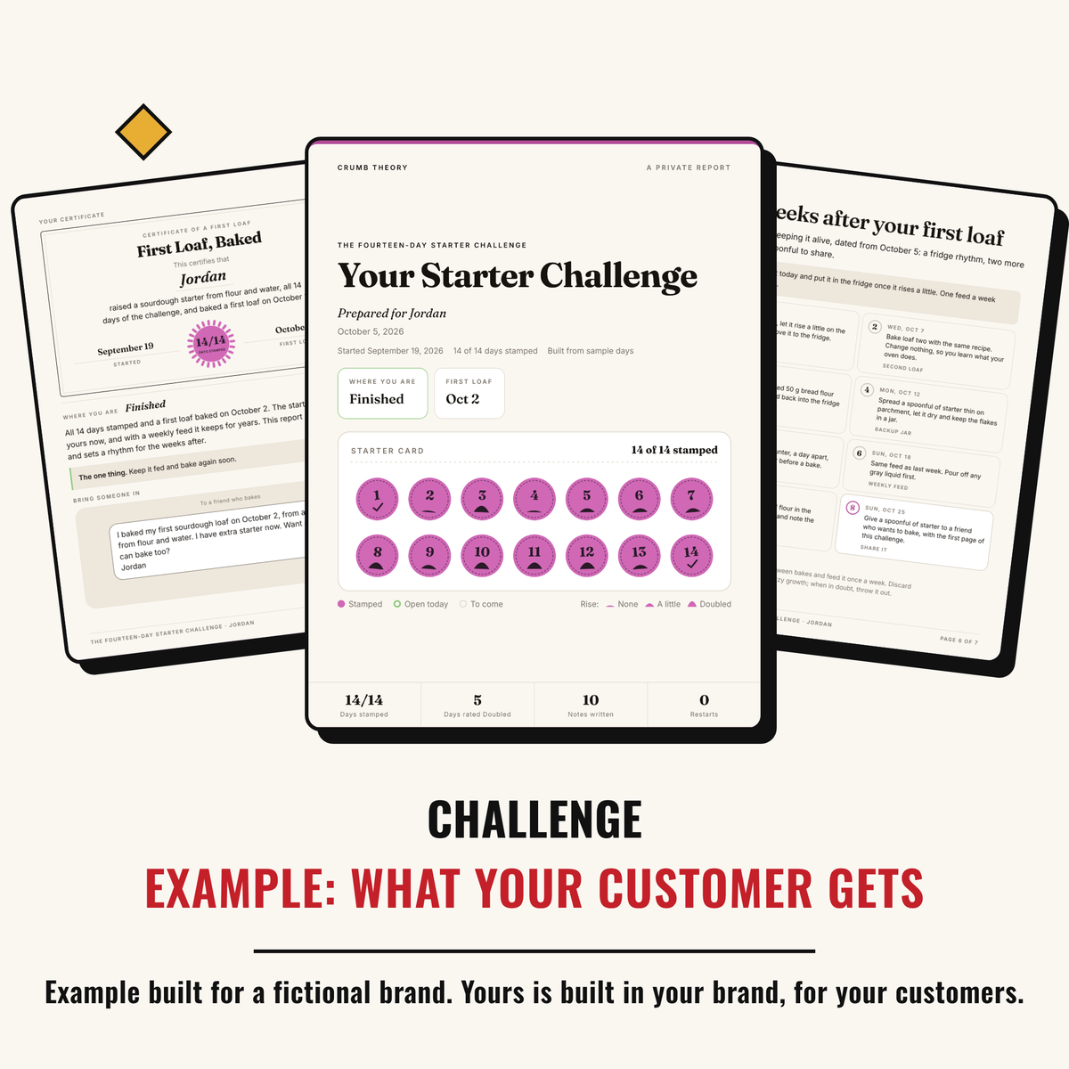 Example output: what your customer gets, a seven-page challenge report built for a fictional brand