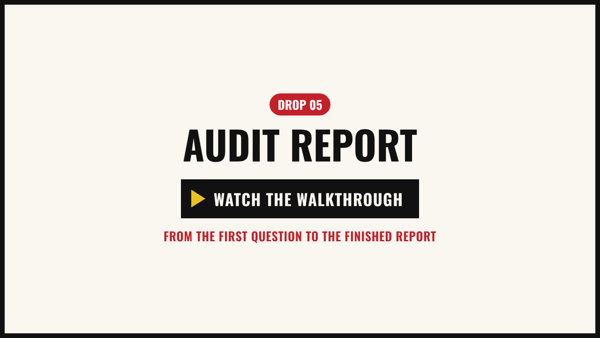 Walkthrough video: the example audit, from the first click to the personal report