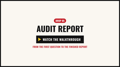 Walkthrough video: the example audit, from the first click to the personal report